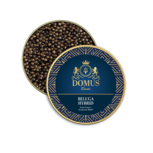 Beluga Hybrid - Bulgaria, Moldova