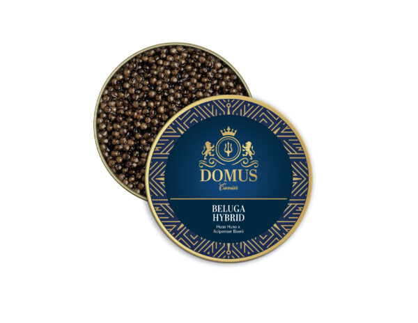 Beluga Hybrid - Bulgaria, Moldova