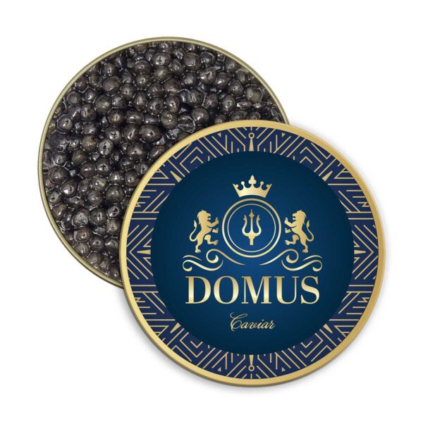 Premium Italian White Sturgeon Caviar