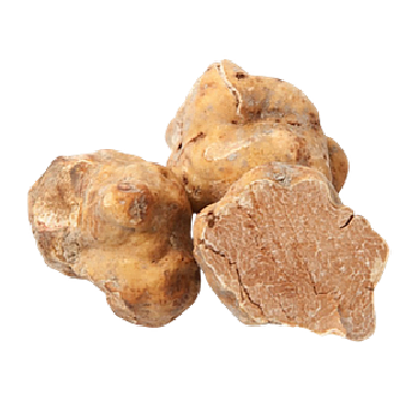 White Truffle