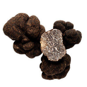 Black Truffles TrufflEat