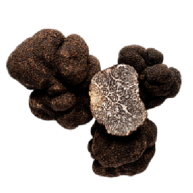 Winter Black Truffle