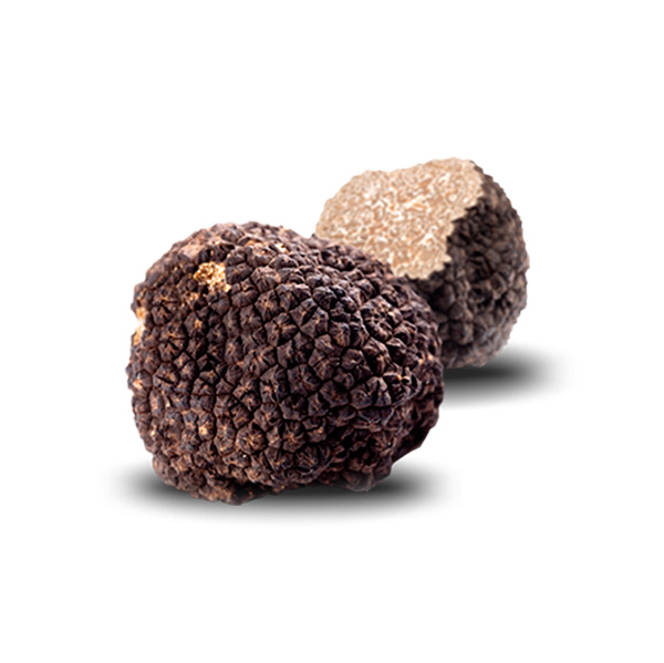 summer-black-truffle