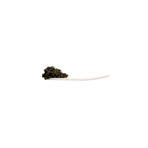 Caviar Spoon