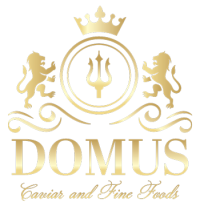 domus-logo-350