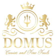 domus-logo-350